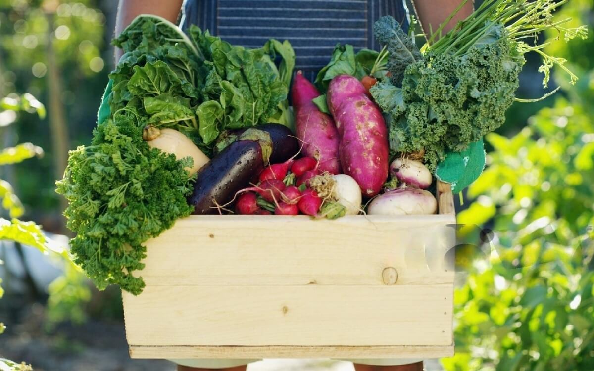Agricultural_Produce